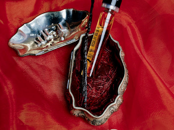 Ascent Refill Pack - Red