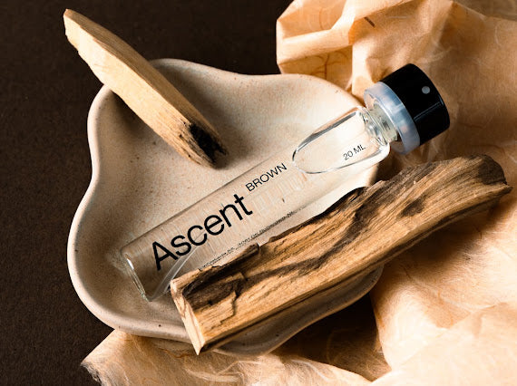 Ascent Refill Pack - Brown