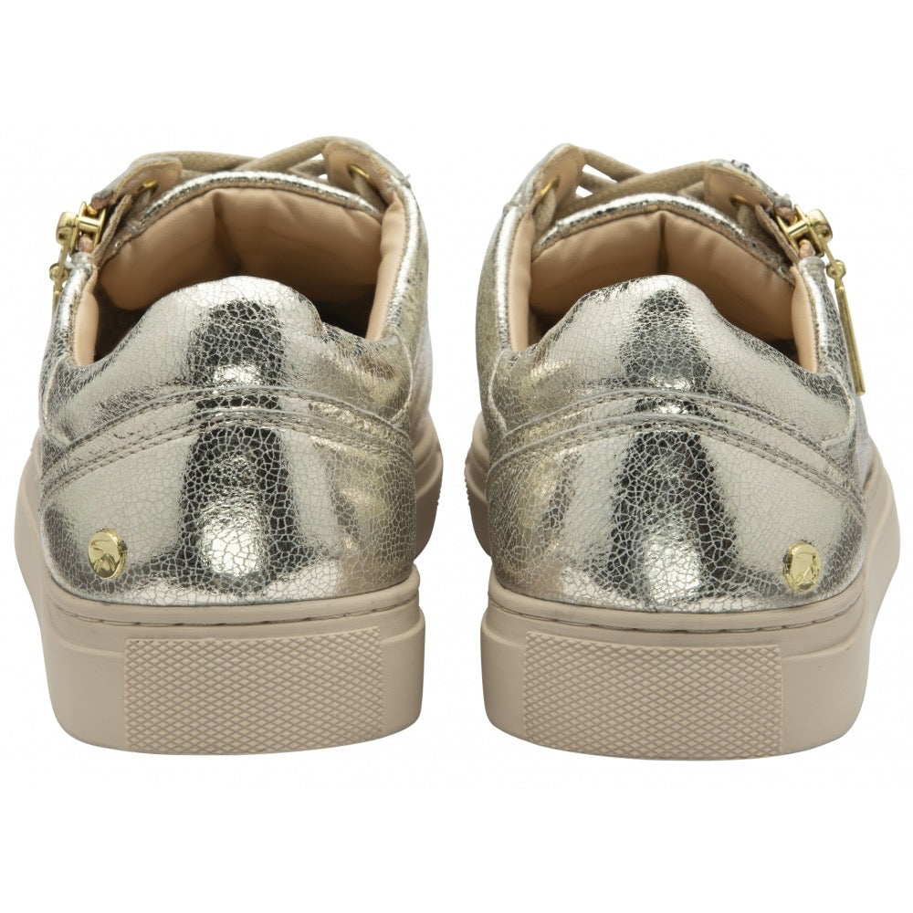 Ravel Gage Leather Metallic Trainer - Gold