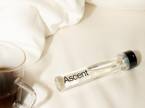 Ascent Refill Pack - Brown