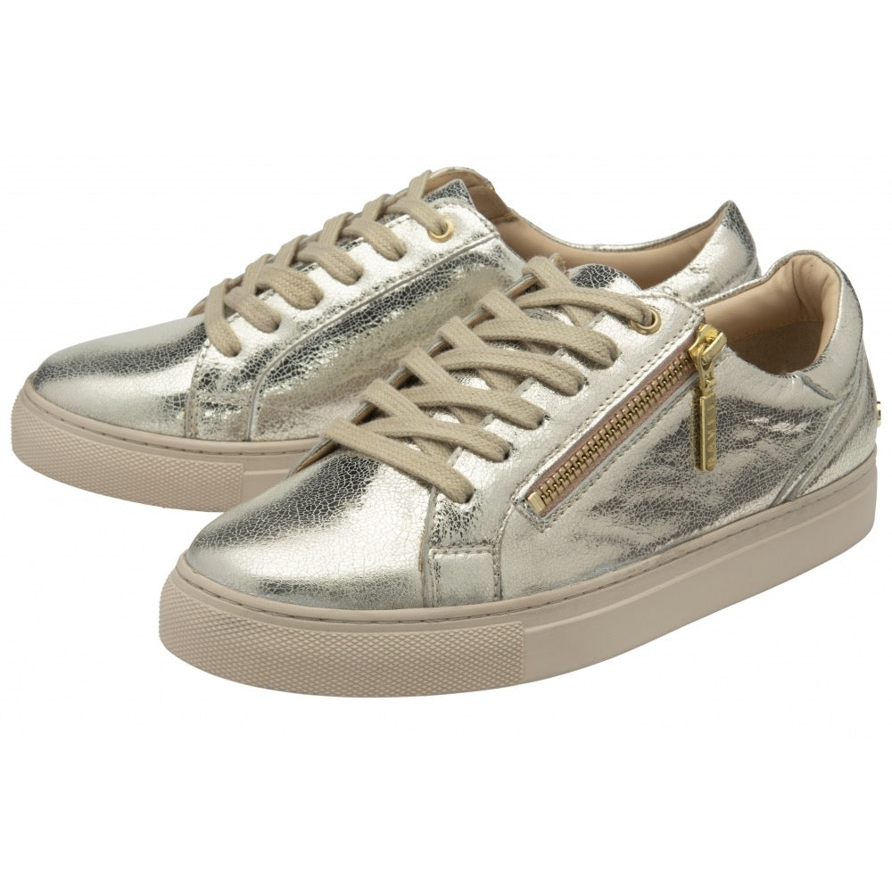 Ravel Gage Leather Metallic Trainer - Gold