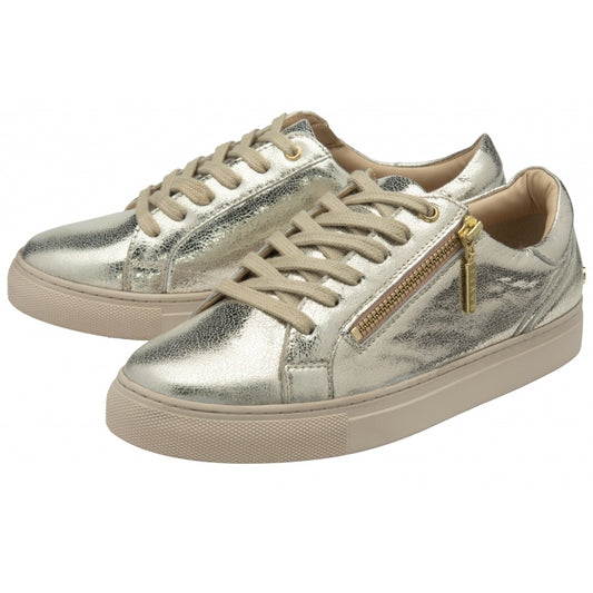 Ravel Gage Leather Metallic Trainer - Gold